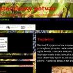 Ciasteczkowy potwór