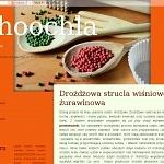 Choochla