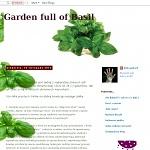 Garden full of Basil