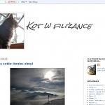 Kot w filiżance