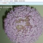 Sisters' cooking