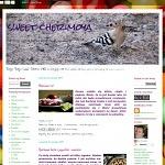 Sweet cherimoya