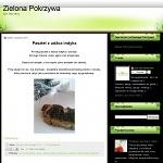 Zielona Pokrzywa