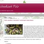 Marchewkowe Pole