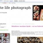 Taste life photograph