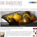 Cafe Babilon