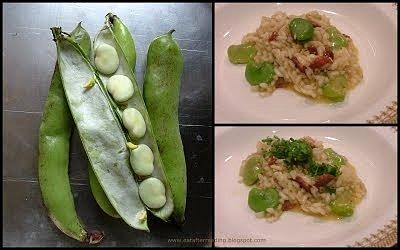 Risotto z bobem i chorizo