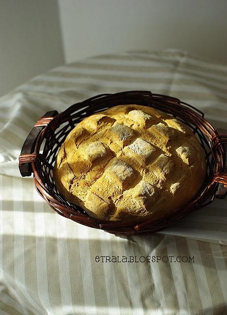Chleb kukurydziany maize bread od leparda