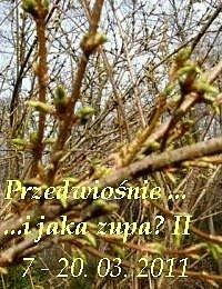 Krem z czerwonej soczewicy z imbirem i chilli