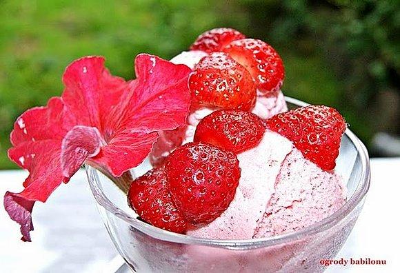 Lody jogurtowe z truskawkami