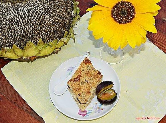 Ciasto drożdżowe ze śliwkami