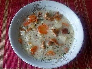 Zupa z kurek z ziemniakami i koperkiem