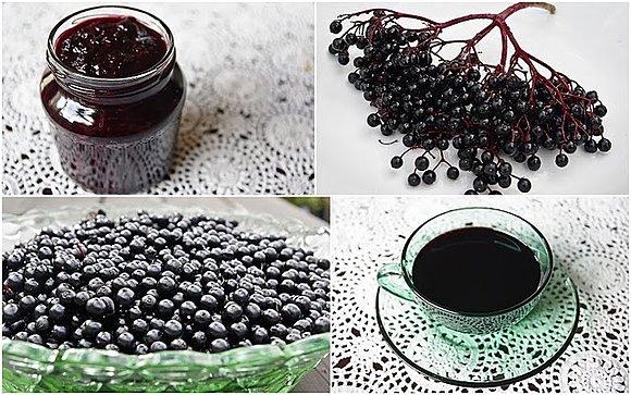 Czarny bez na syrop, dżem i marmoladę