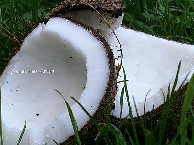 Kokosowo-budyniowe ciasto nie wymaga pieczenia z kokosem