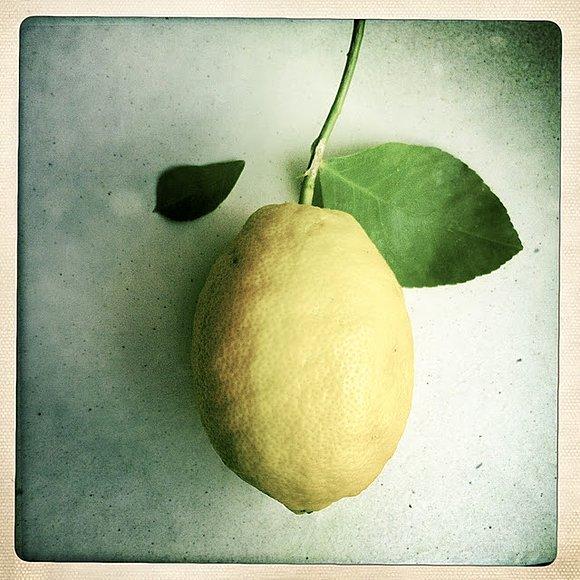 Lody cytrynowe z limoncello