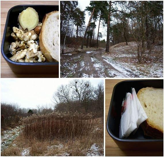 Zimowe bento z makaronem razowym, kapustą i czarną rzepą
