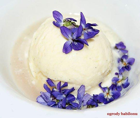 Lody z syropem fiołkowym