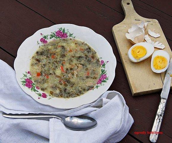 Zupa szczawiowa