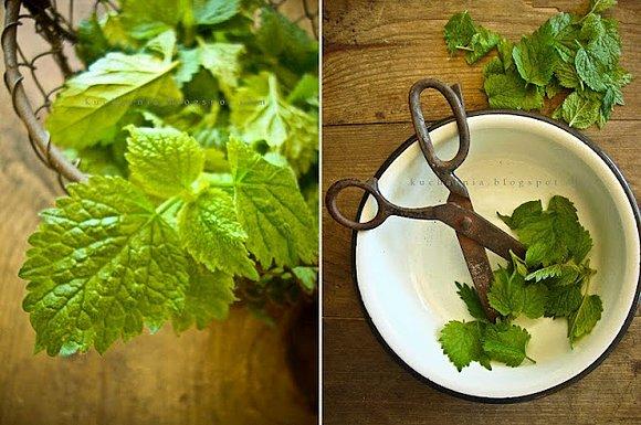 Spanakopita z pokrzywą i zielonymi ziołami