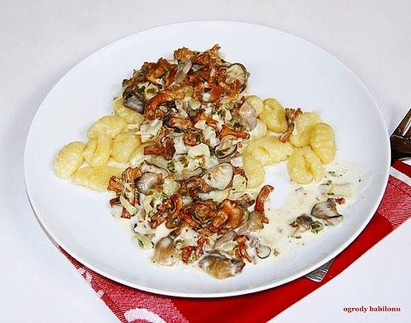 Gnocchi z sosem grzybowym