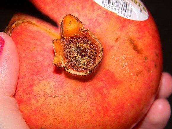 Granat, papaja, pomelo, ananas - jak to jeść?