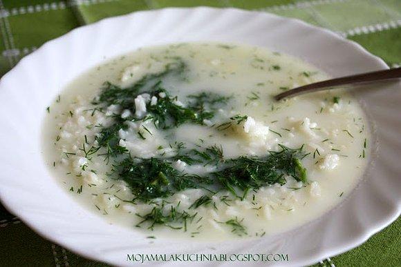 Aromatyczna zupa koperkowa