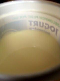 Domowy jogurt naturalny