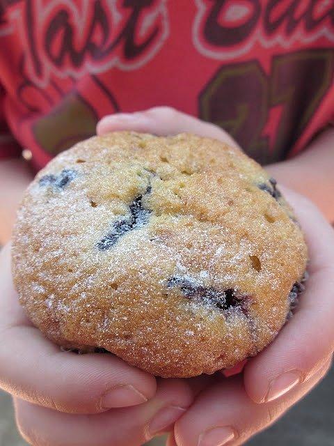 Jagodowe muffinki puszyste z leśnych owoców