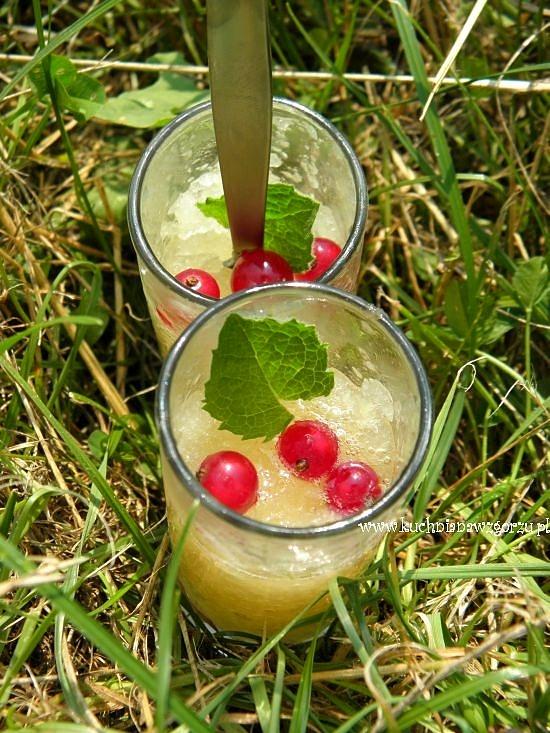 Chłodzimy się sorbet melonowo-imbirowy