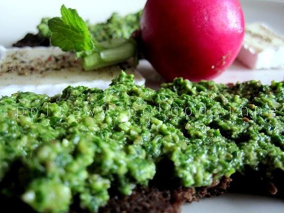 Pesto rzodkiewkowe
