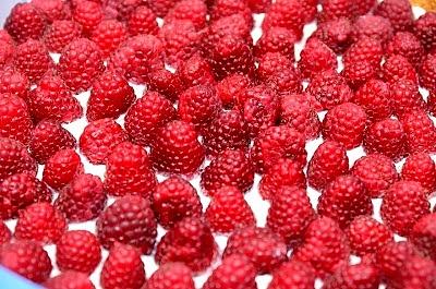 Maliniak - deser z mascarpone i fruktozą