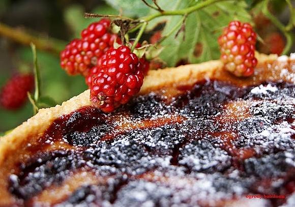 Tarta z jeżynami i migdałowym spodem