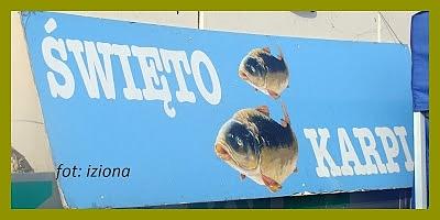 Pan karp – święto karpia w miliczu