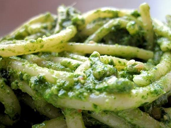 Pesto z listków rzodkiewki i pietruszki