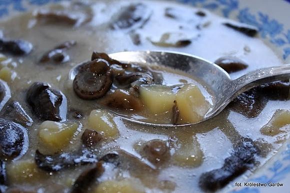 Zupa ze świeżych grzybów
