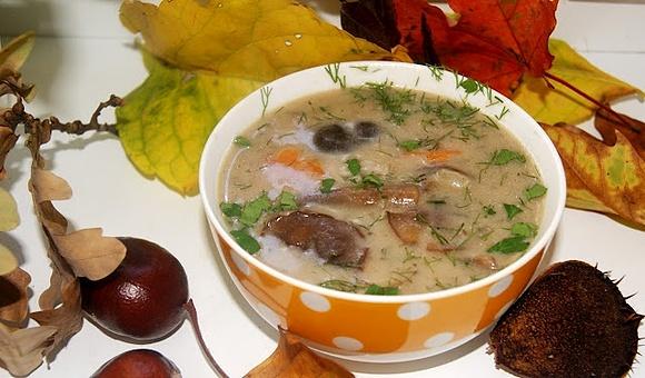 Zupa ze świeżych grzybów