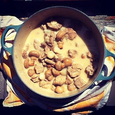 Blanquette de veau francuska potrawka z cielęciny