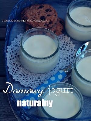Domowy jogurt naturalny