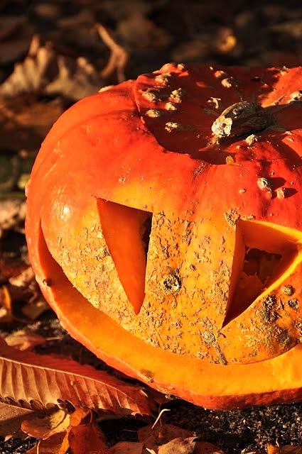 Dyniowe lampiony na Halloween