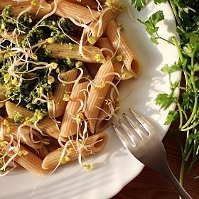 Razowe penne z pesto pietruszkowo-słonecznikowym