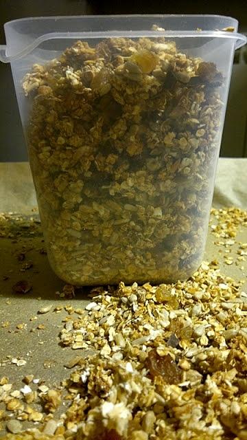 Domowa granola ze słonecznikiem, rodzynkami i czekoladą