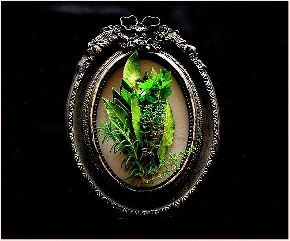 Sekret francuskich aromatów - bouquet garni