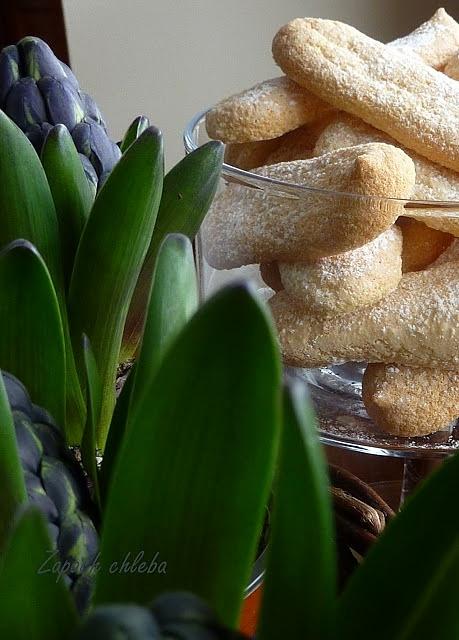 Ladyfingers biszkoptowe ciastka na słodkie wypieki