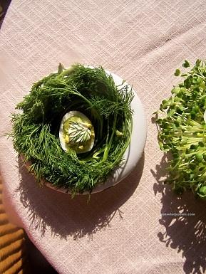 Jajka na wielkanocne śniadanie z kolendrą i wasabi