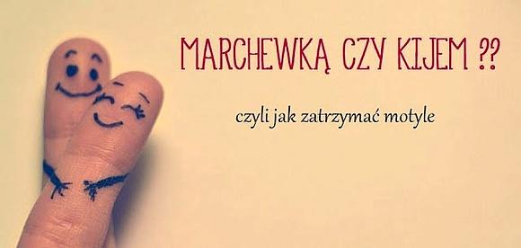 Sernik z masłem orzechowym i marchewką