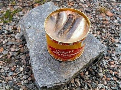 Surströmming - kiszony śledź szwedzki przysmak