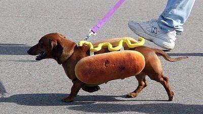 Hot Dog - amerykańska kanapka z kiełbaską w bułce