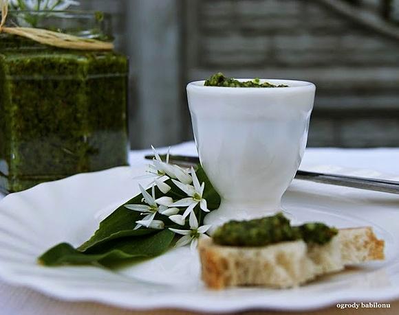 Pesto z czosnku niedźwiedziego