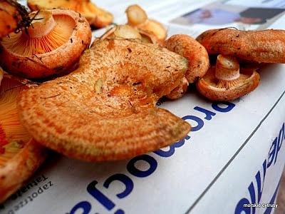 Risotto z rydzami na zachętę