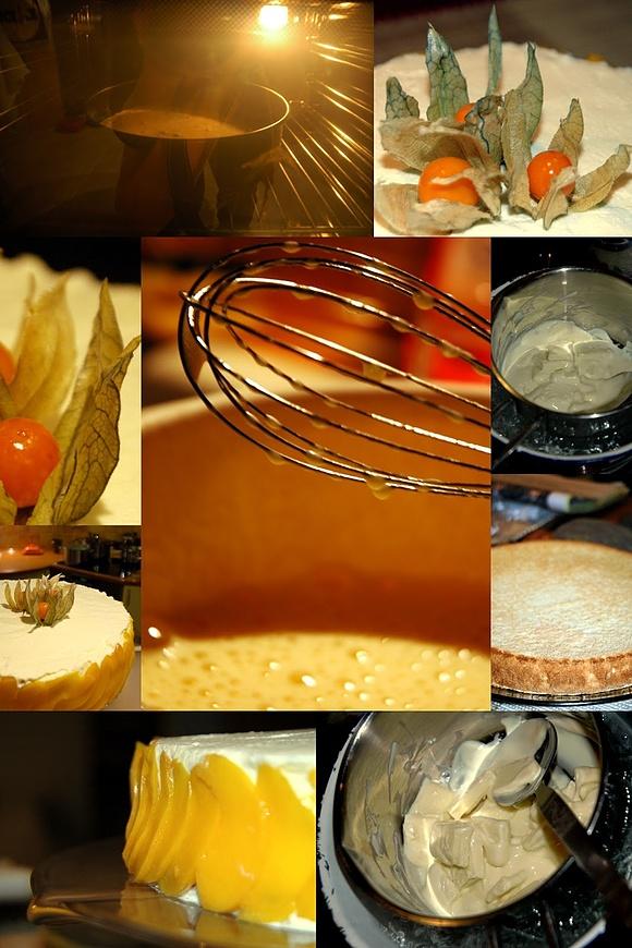 Biała czekolada z morelami - tort z kremem mascarpone i biszkoptem